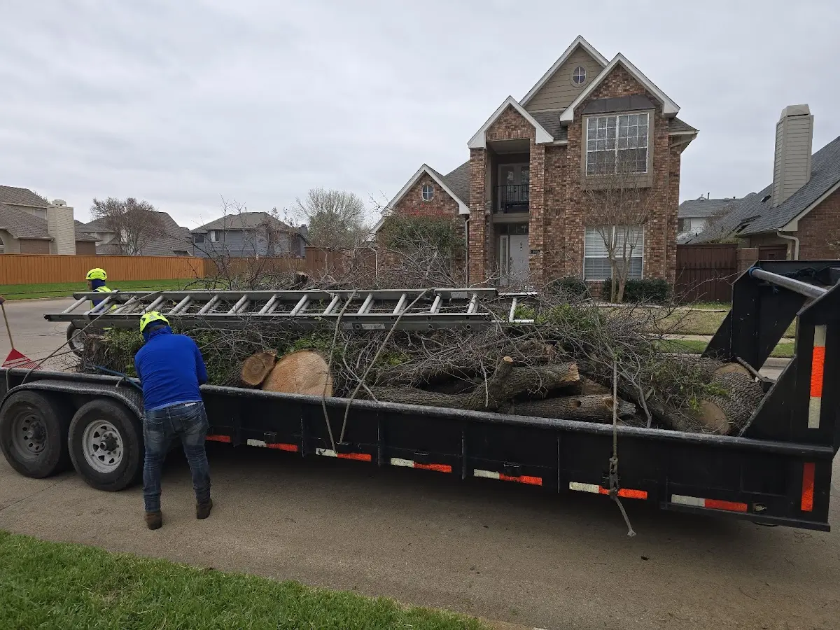 Expert Tree Removal with proper safety equipment in Council Grove
